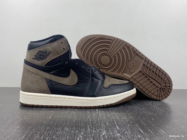 High  Retro 1   Palomino DZ5485-020 OG Jordan 0213